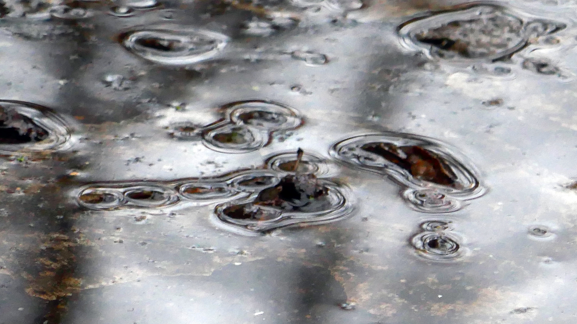 2022-02-17 Das Kleine Regen Rhythmus Orchester - Regen und Wind (Audio, Video)