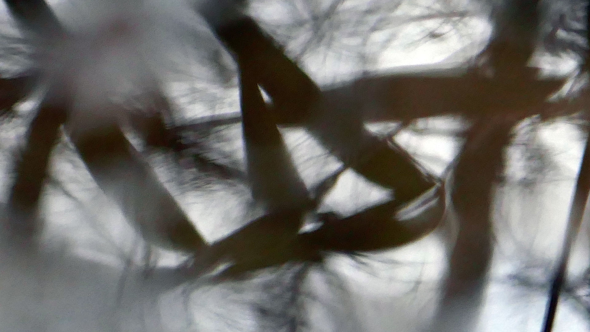 2022-02-17 Das Kleine Regen Rhythmus Orchester - Regen und Wind (Audio, Video)