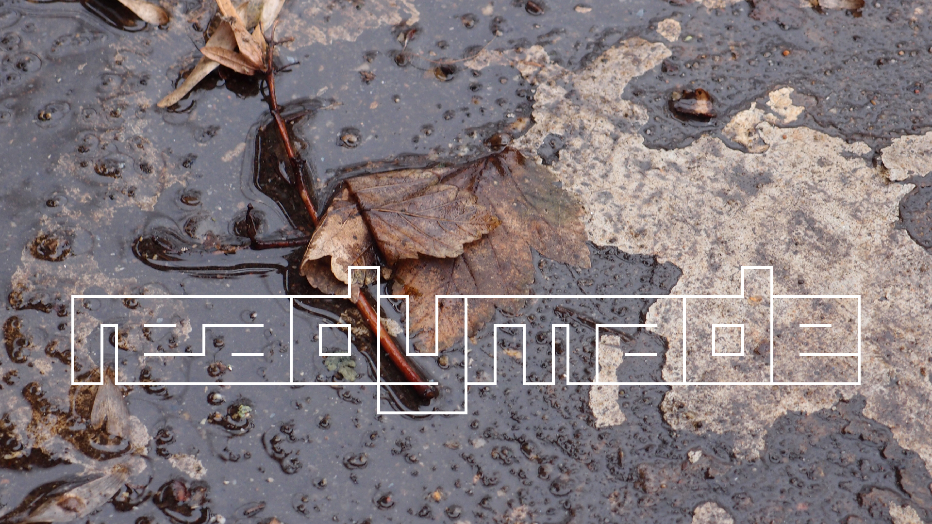 2022-02-17 Das Kleine Regen Rhythmus Orchester - Regen und Wind (Audio, Video)