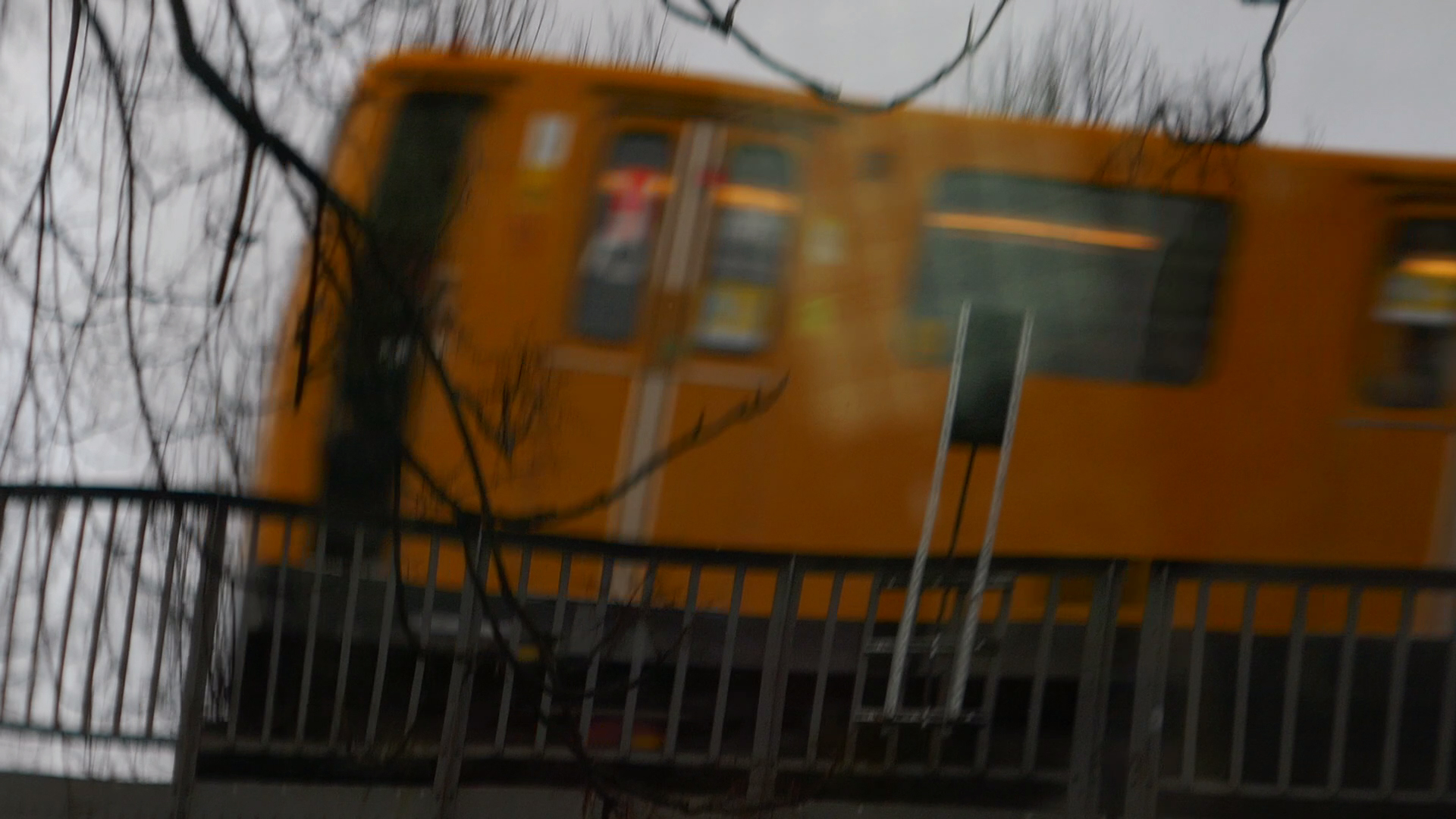 2022-02-17 Das Kleine Regen Rhythmus Orchester - Regen und Wind (Audio, Video)