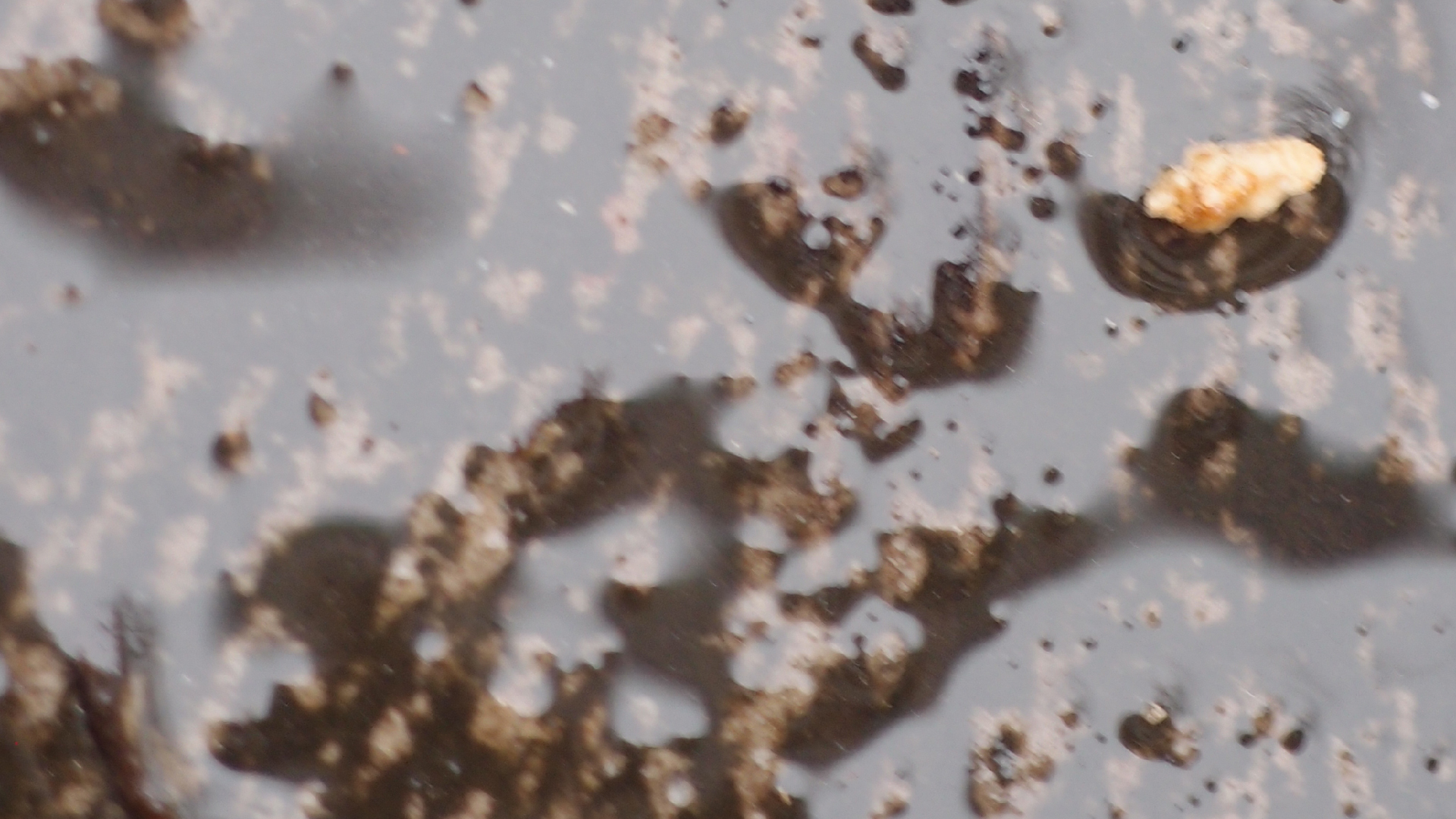 2022-02-21 Ensemble I (2 x Aluminium & Plaste) (Audio, Video)