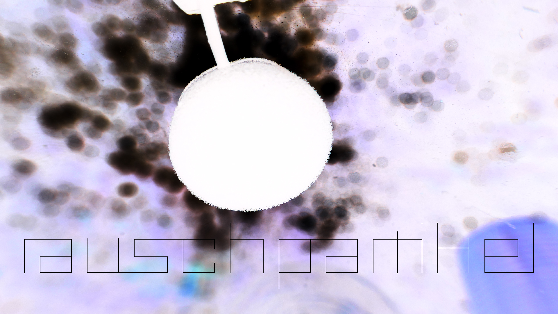 2022-07-01 Das Kleine Regen Rhythmus Orchester (Plaste und Glas) (Audio, Video)