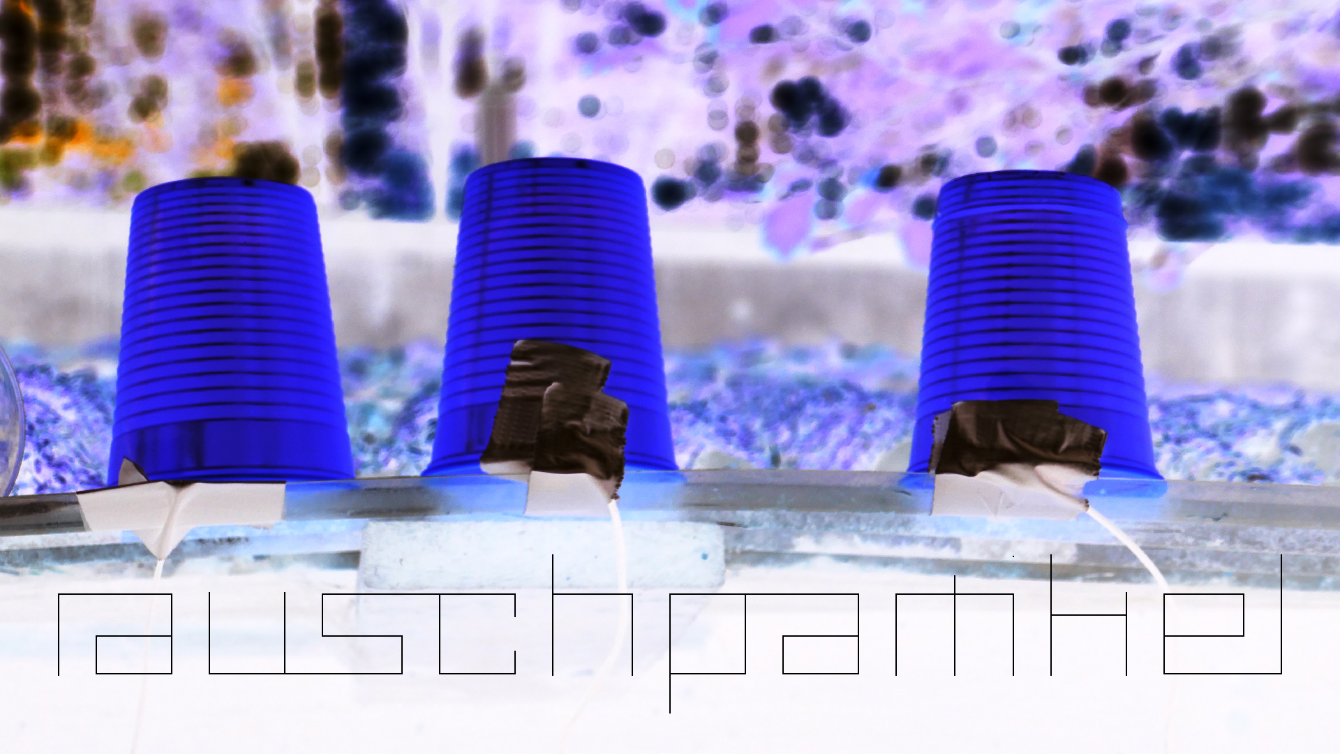 2022-07-01 Das Kleine Regen Rhythmus Orchester (Plaste und Glas) (Audio, Video)