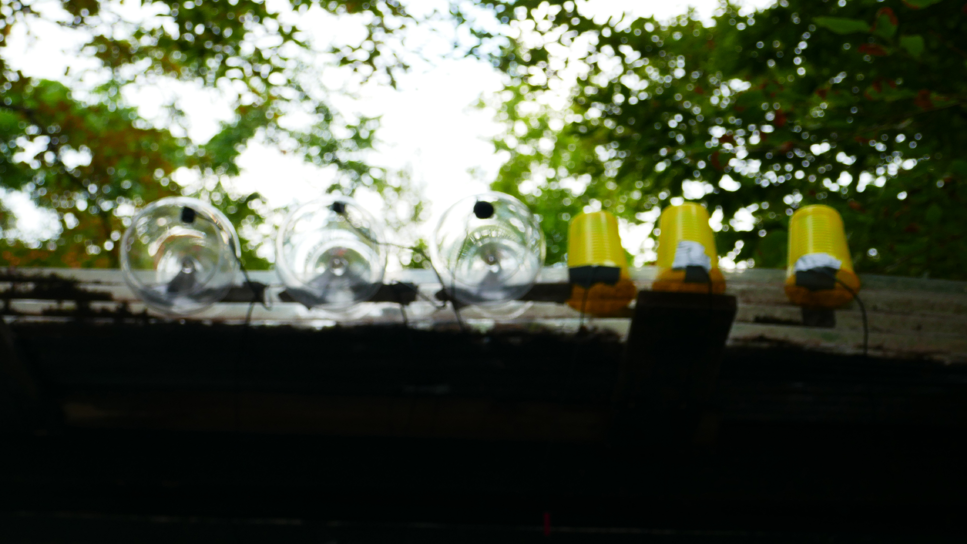 2022-07-01 Das Kleine Regen Rhythmus Orchester (Plaste und Glas) (Audio, Video)