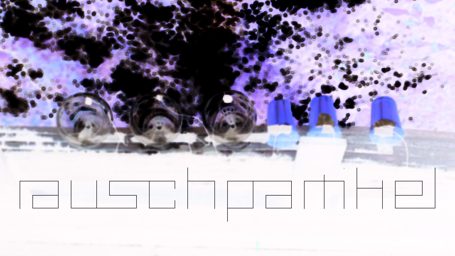 2022-07-01 Das Kleine Regen Rhythmus Orchester (Plaste und Glas) (Audio, Video)