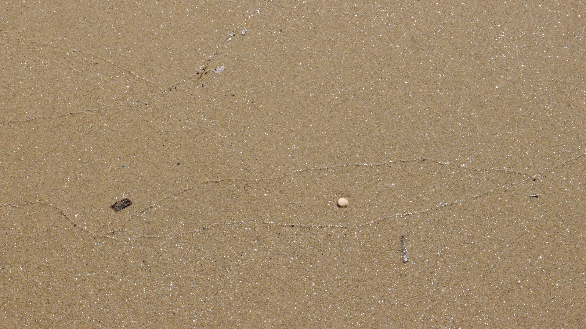 2021-09-17 03 Parasporos Beach Club (Zikaden) (Fieldrecording, Foto, Video)