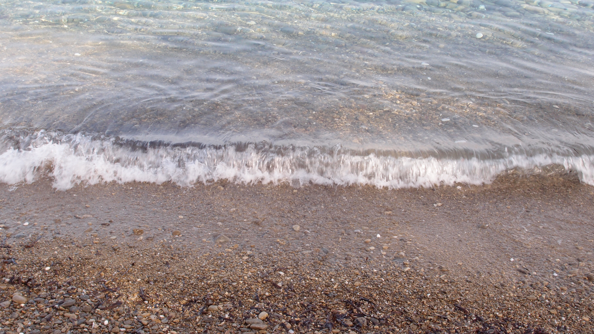 2021-09-18 01 am Hausstrand (Fieldrecording, Foto, Video)