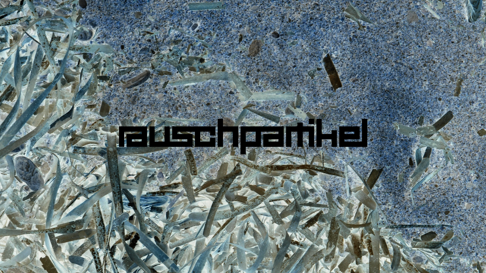 2021-09-18 01 am Hausstrand (Fieldrecording, Foto, Video)