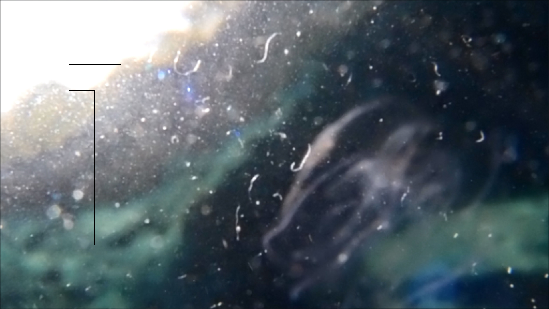 2022-04-14 Am Strand und im Wasser (Quallenvideo, Stills & Numbers) (Typo Grafik, Video)
