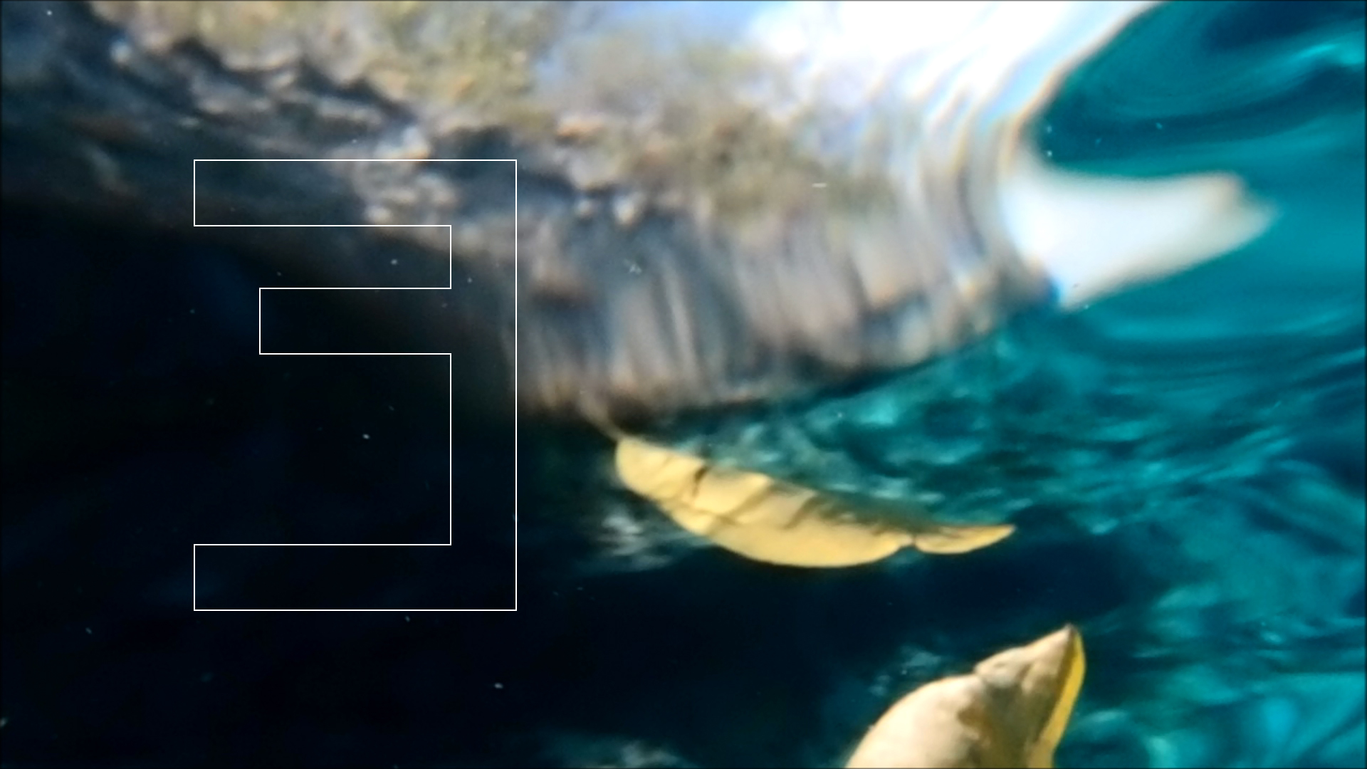 2022-04-14 Am Strand und im Wasser (Quallenvideo, Stills & Numbers) (Typo Grafik, Video)