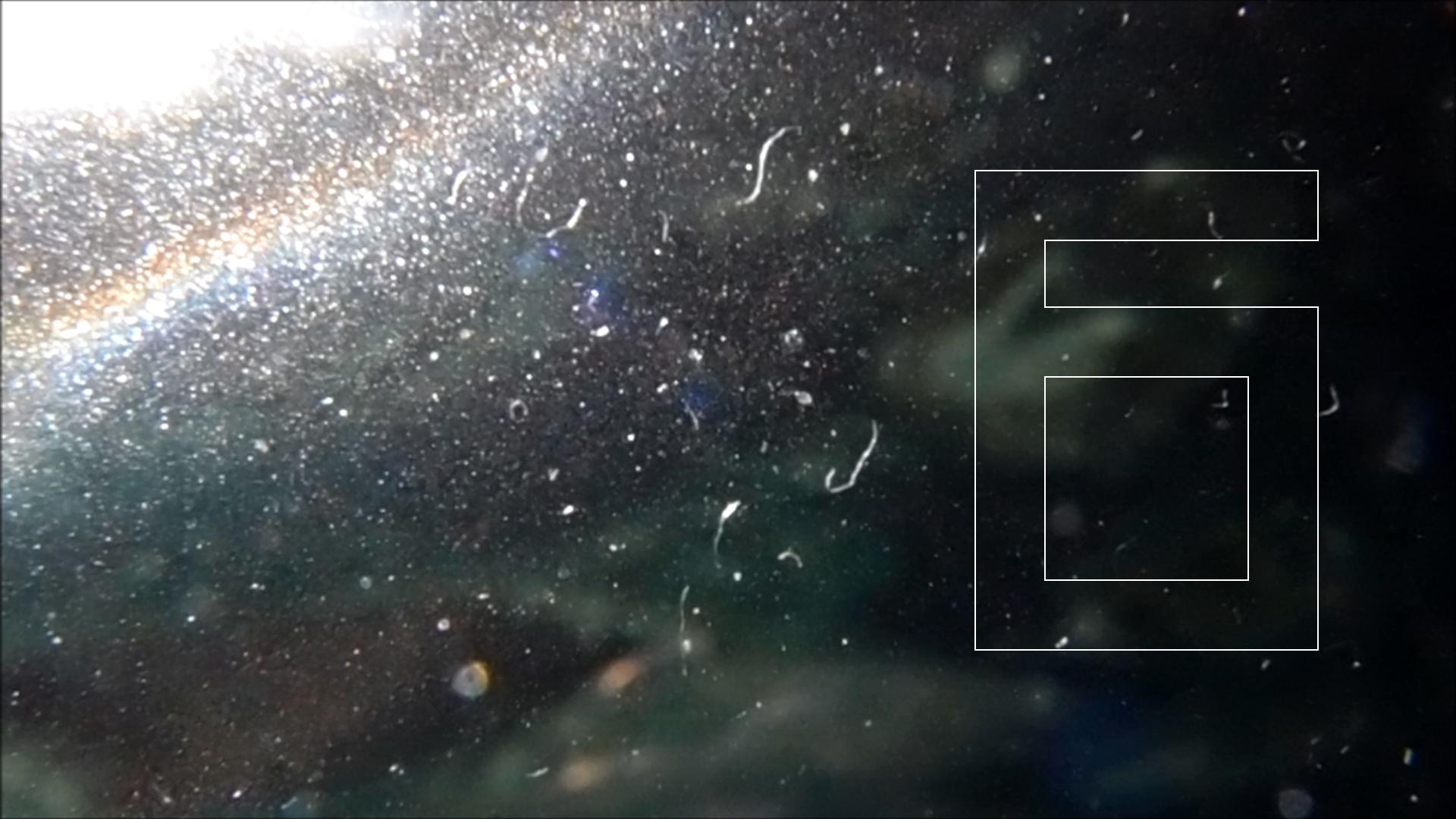 2022-04-14 Am Strand und im Wasser (Quallenvideo, Stills & Numbers) (Typo Grafik, Video)