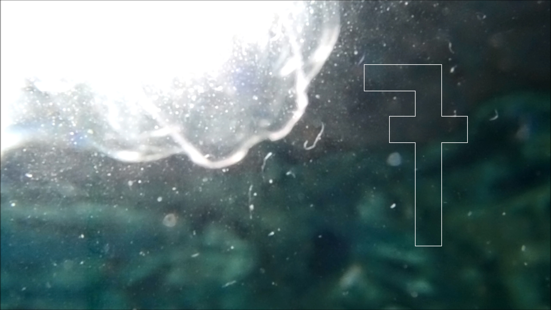 2022-04-14 Am Strand und im Wasser (Quallenvideo, Stills & Numbers) (Typo Grafik, Video)