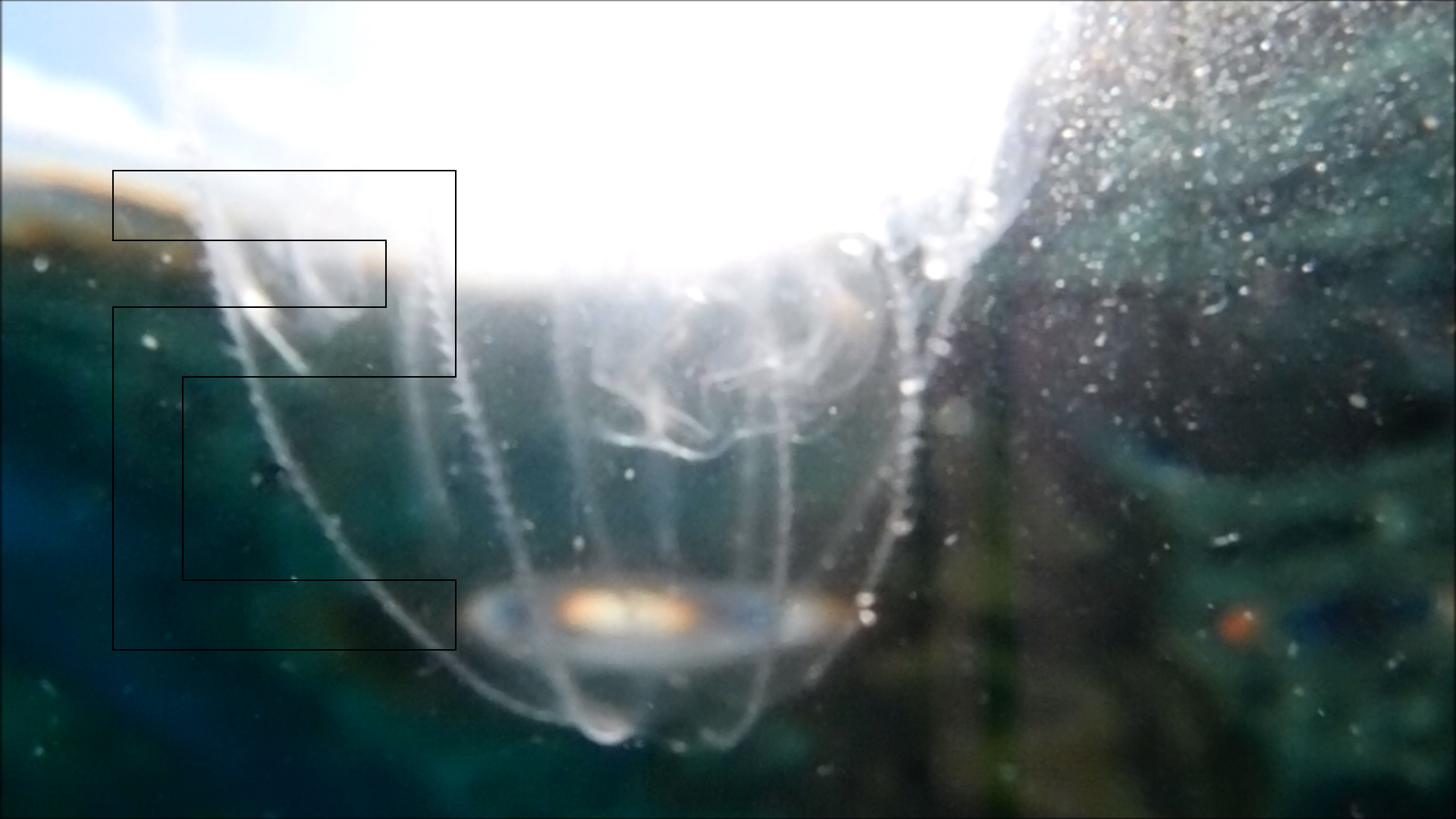 2022-04-14 Am Strand und im Wasser (Quallenvideo, Stills & Numbers) (Typo Grafik, Video)