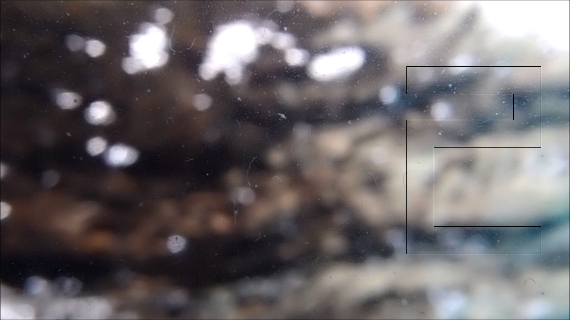2022-04-14 Am Strand und im Wasser (Quallenvideo, Stills & Numbers) (Typo Grafik, Video)