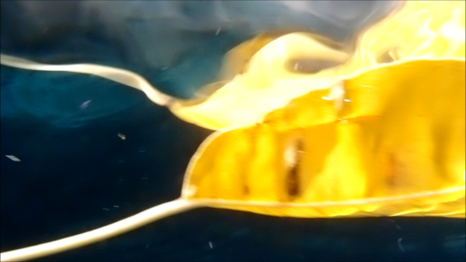 2022-04-14 Am Strand und im Wasser (Quallenvideo, Stills & Numbers) (Typo Grafik, Video)