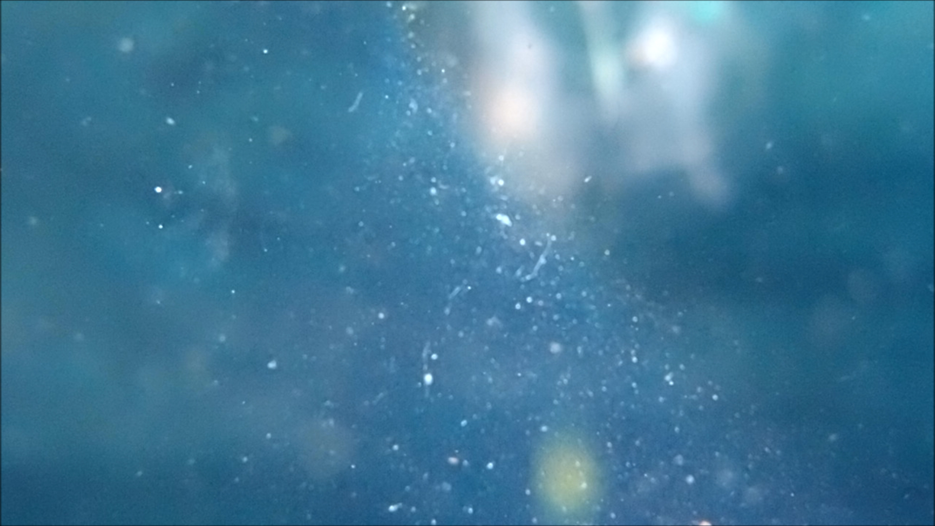 2022-04-14 Am Strand und im Wasser (Quallenvideo, Stills & Numbers) (Typo Grafik, Video)