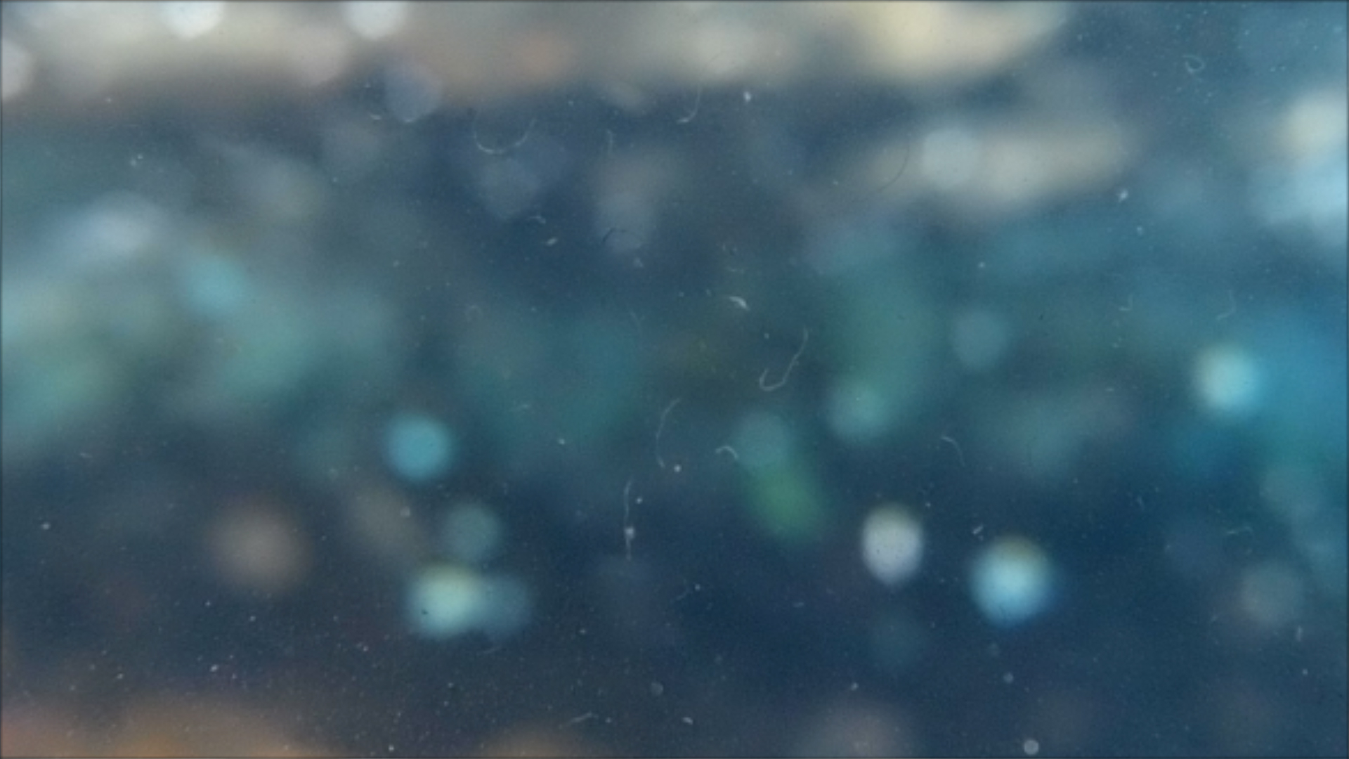 2022-04-14 Am Strand und im Wasser (Quallenvideo, Stills & Numbers) (Typo Grafik, Video)