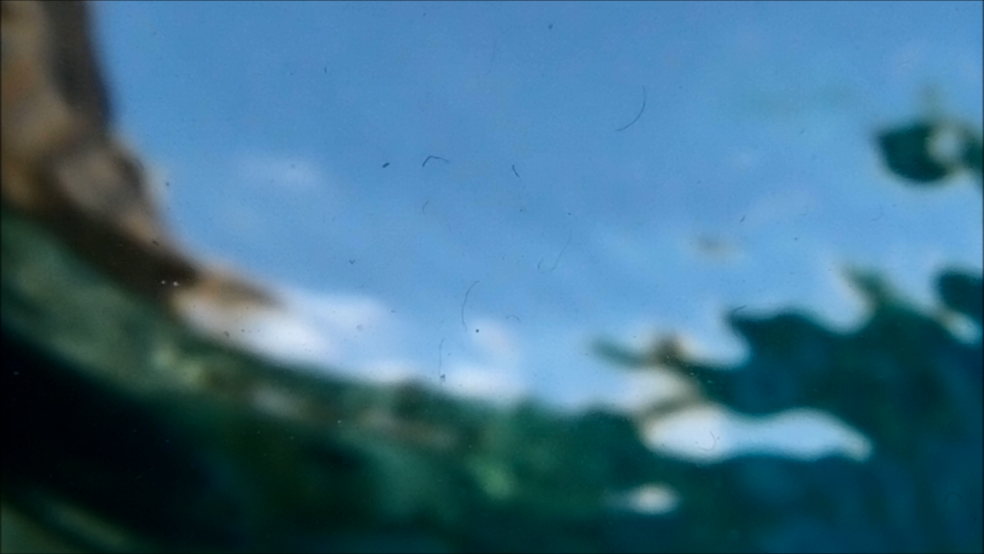 2022-04-14 Am Strand und im Wasser (Quallenvideo, Stills & Numbers) (Typo Grafik, Video)