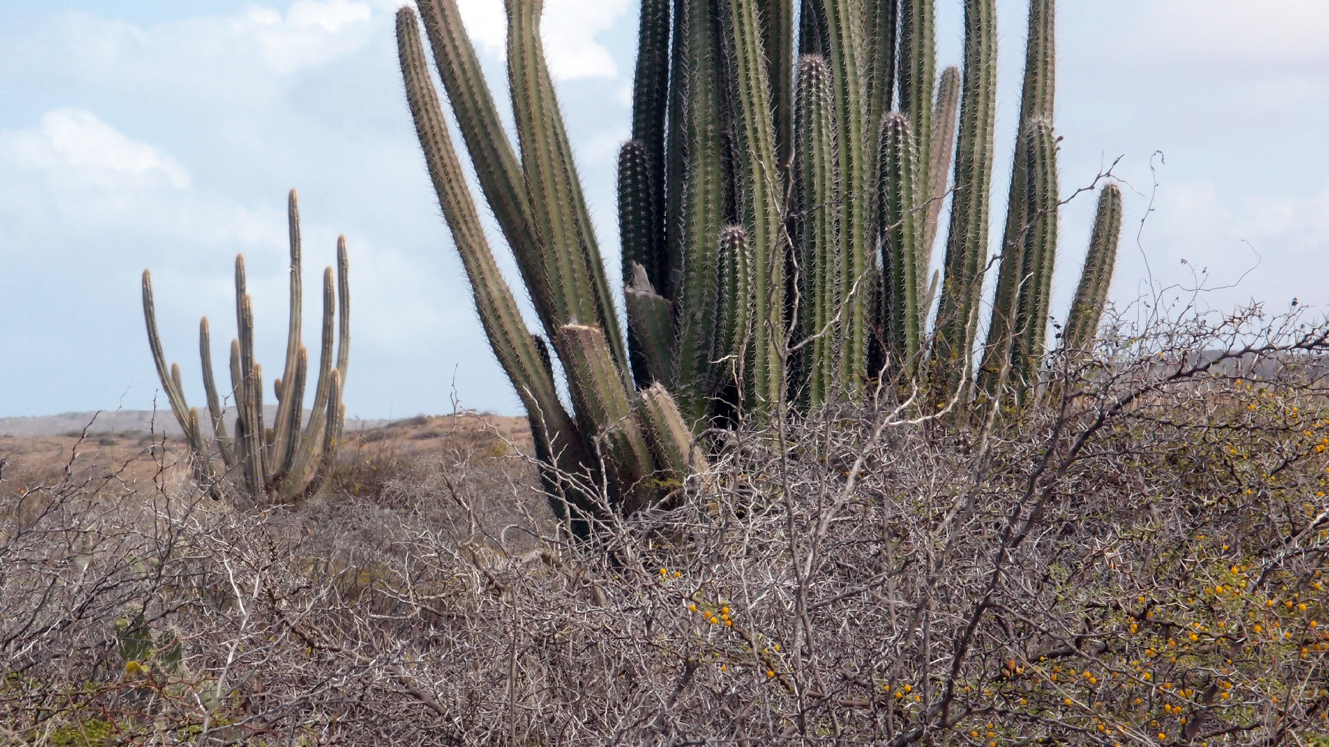 2022-04-14 Shete Boka Nationalpark (Foto)