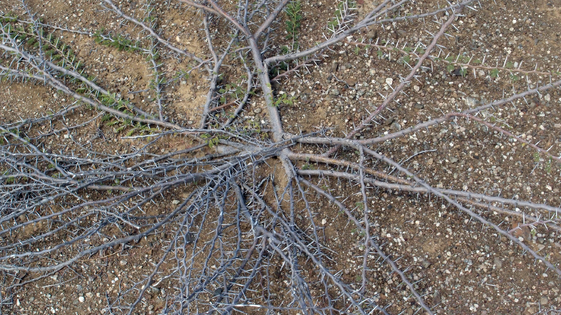 2022-04-14 Shete Boka Nationalpark (Foto)