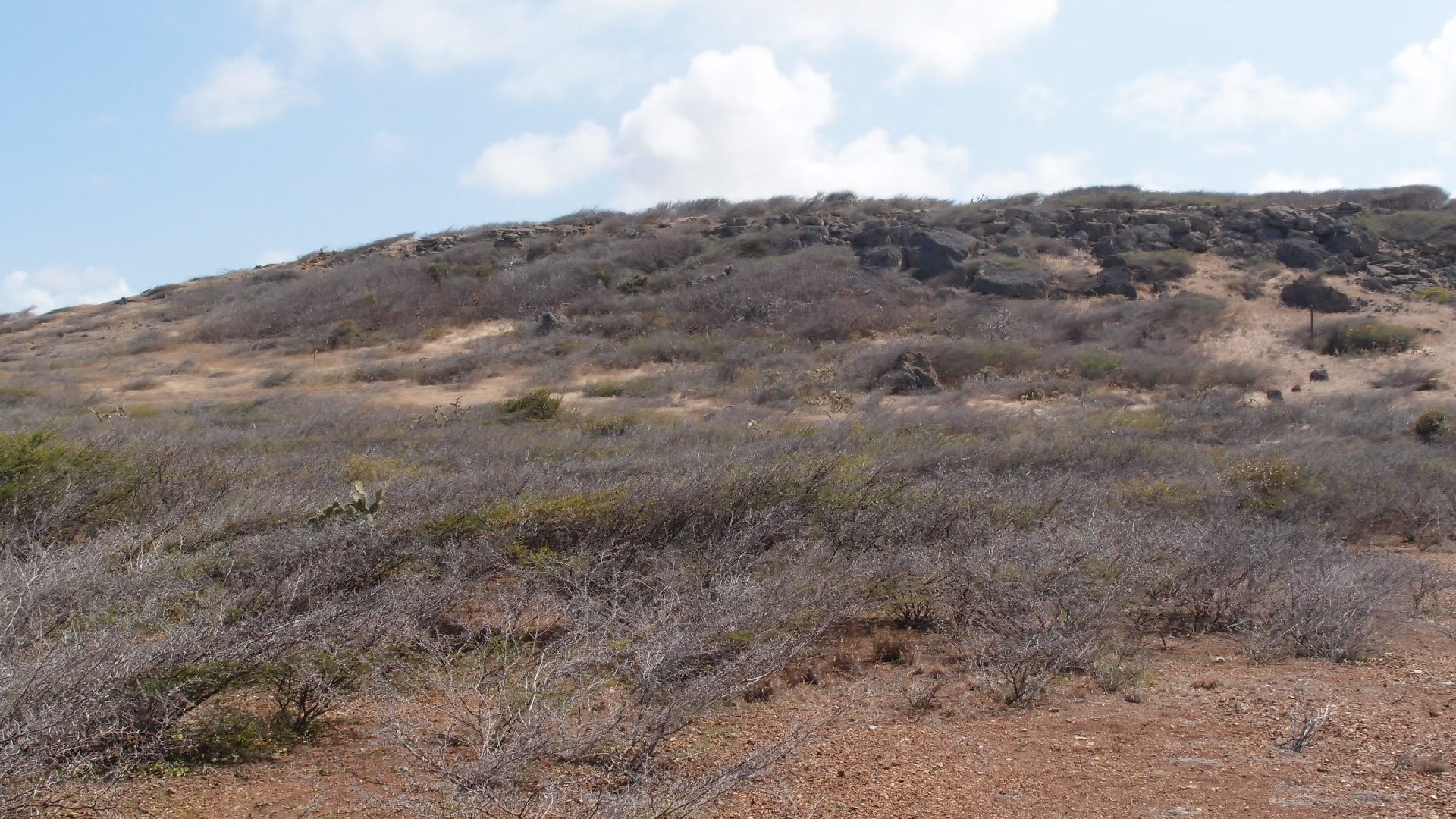2022-04-14 Shete Boka Nationalpark (Foto)