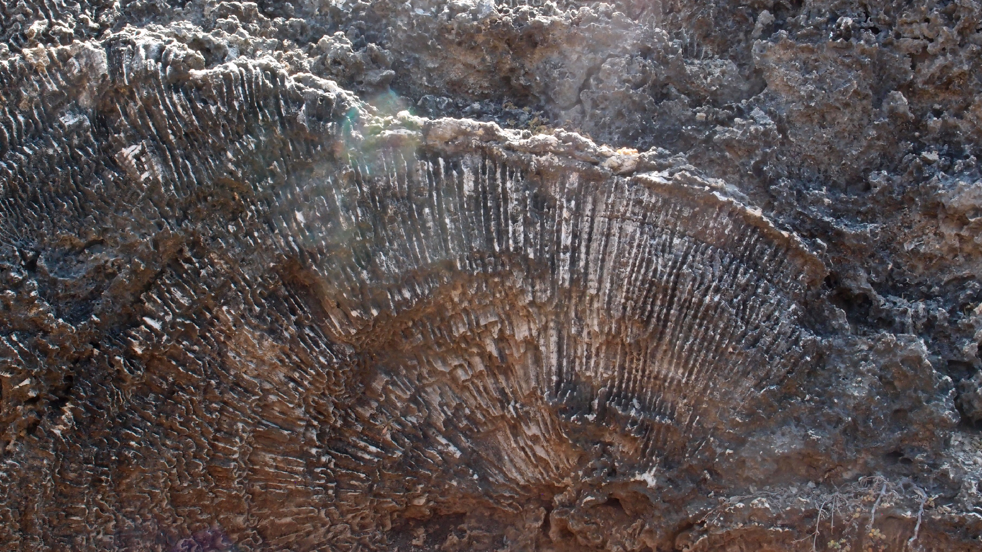 2022-04-14 Shete Boka Nationalpark (Foto)