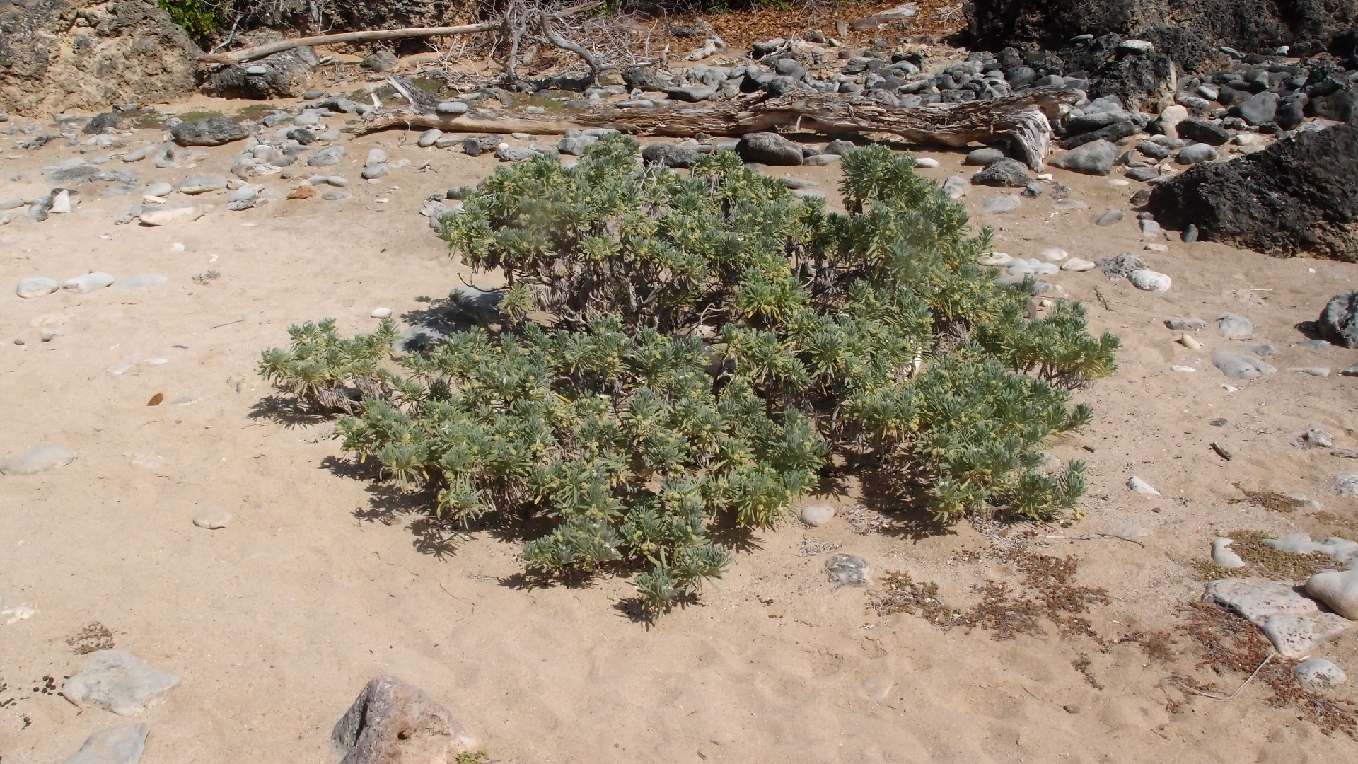2022-04-14 Shete Boka Nationalpark (Foto)