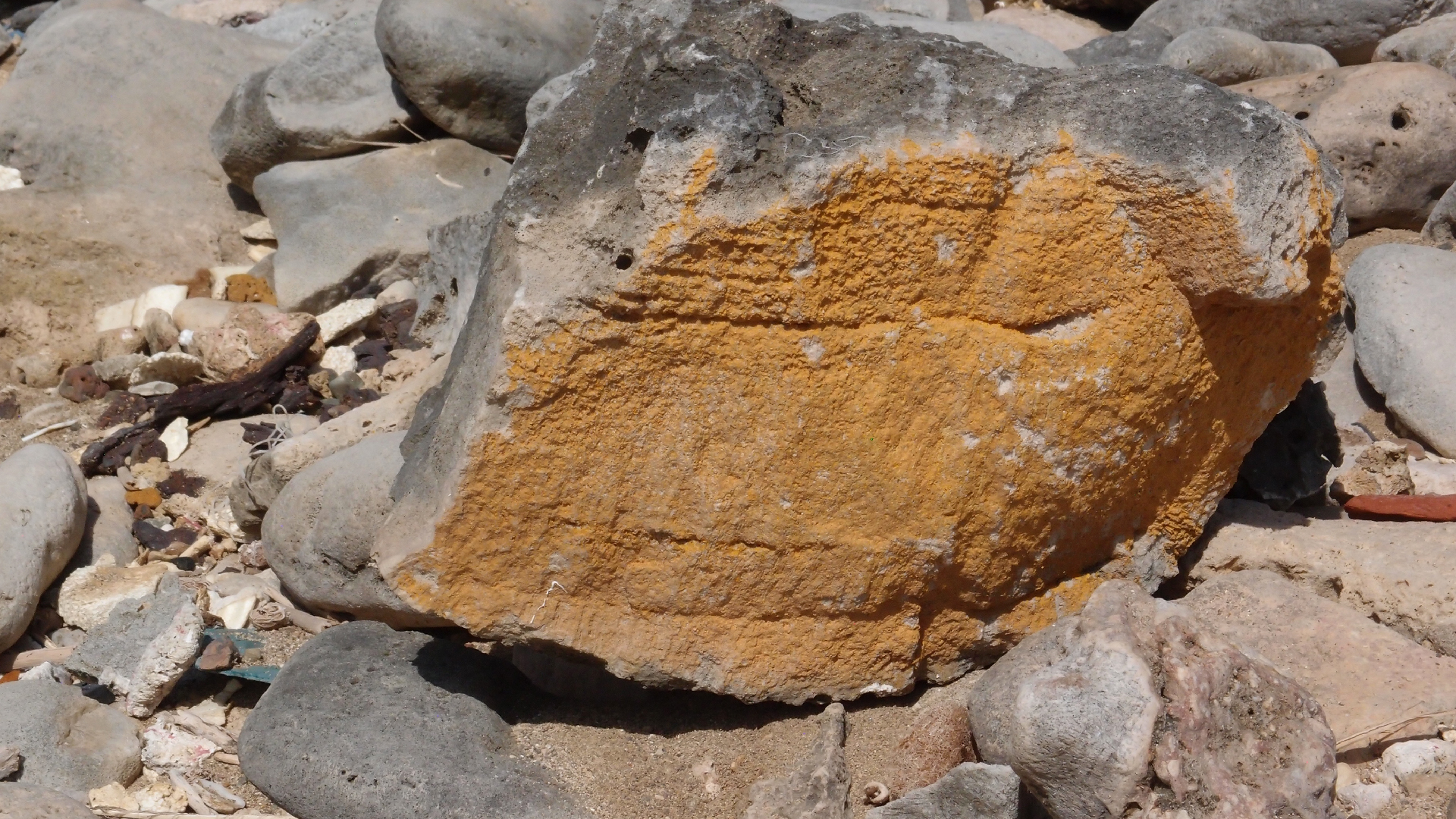 2022-04-14 Shete Boka Nationalpark (Foto)