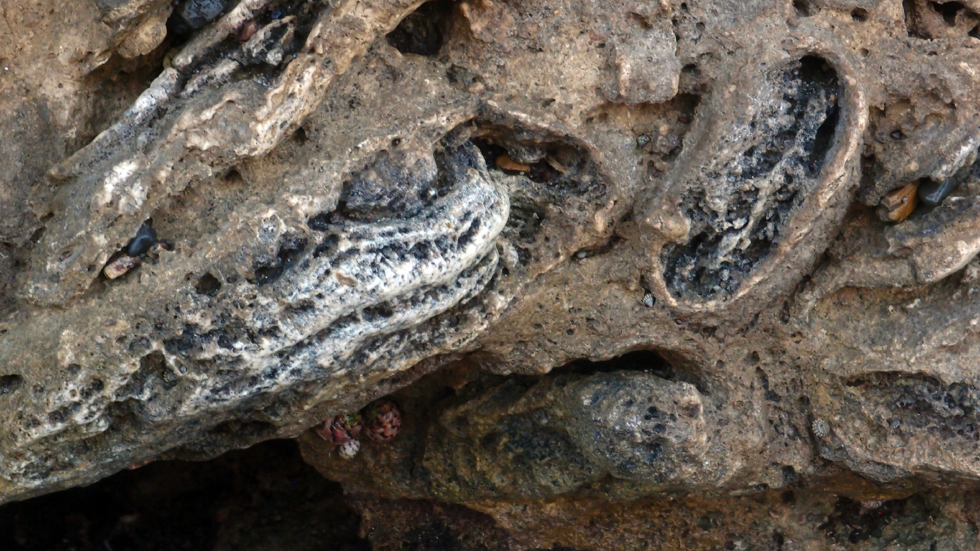 2022-04-14 Shete Boka Nationalpark (Foto)