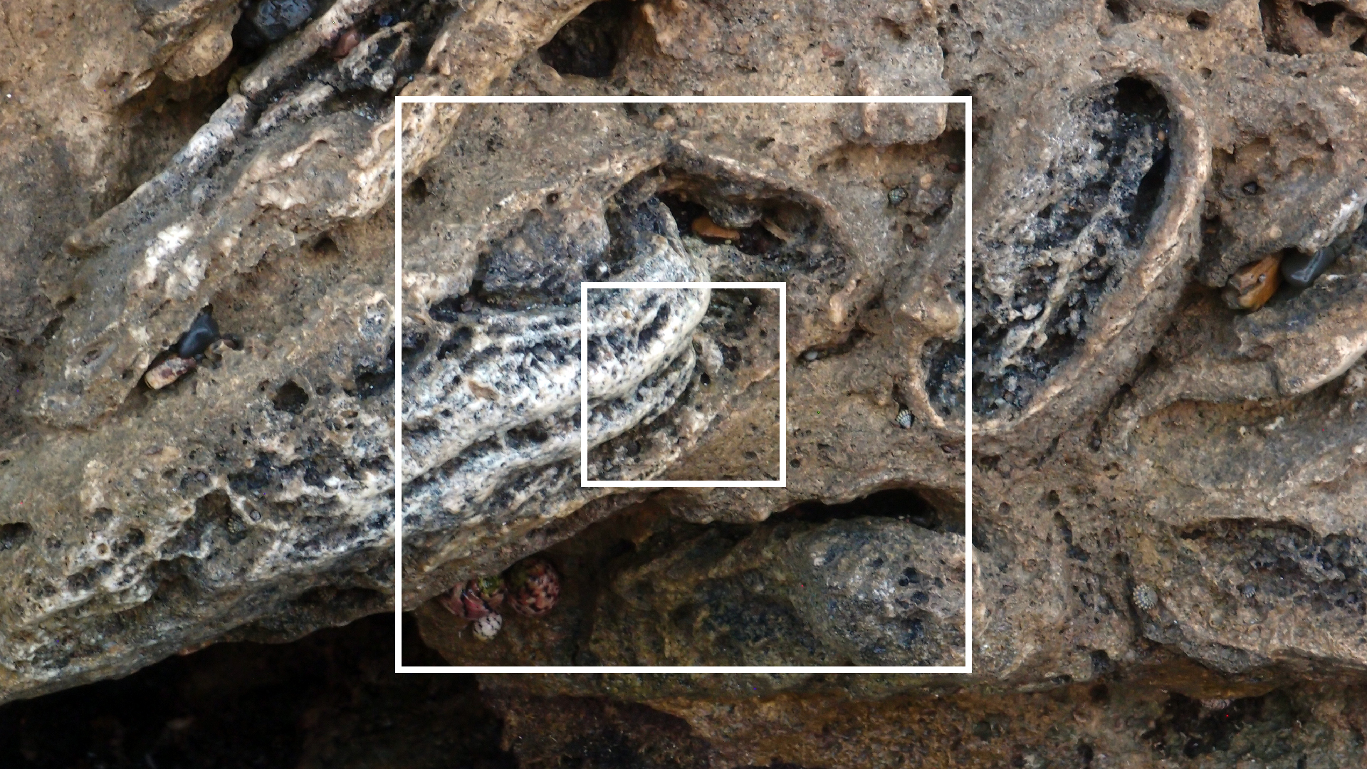 2022-04-14 Shete Boka Nationalpark (Foto)