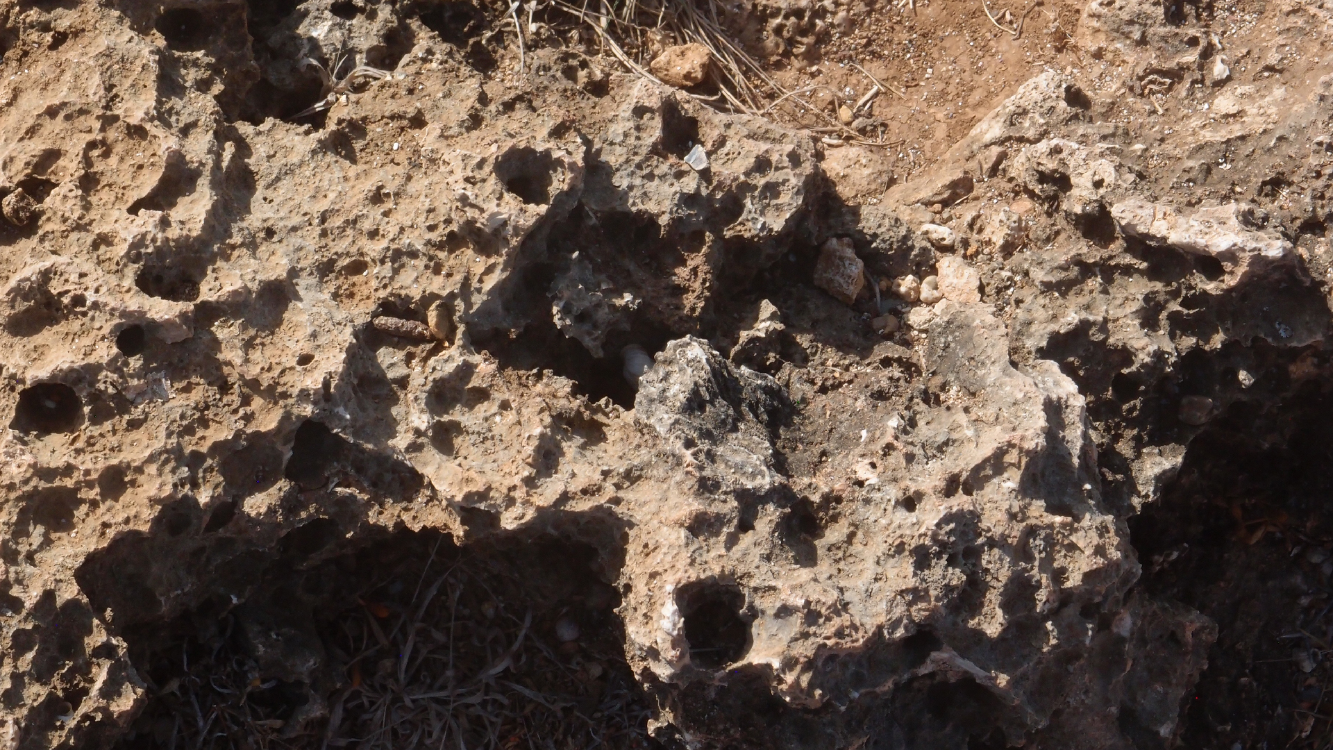 2022-04-14 Shete Boka Nationalpark (Foto)