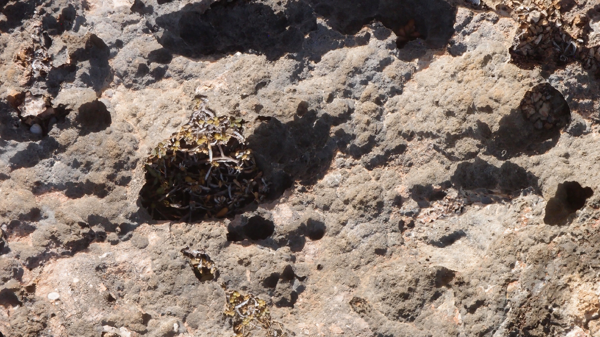 2022-04-14 Shete Boka Nationalpark (Foto)