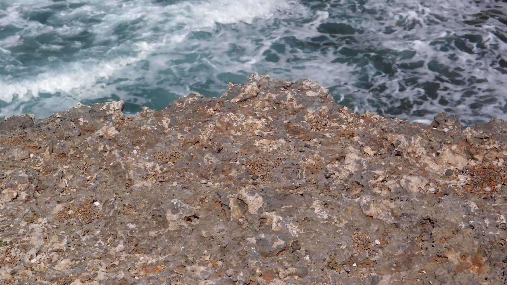 2022-04-14 Shete Boka Nationalpark (Foto)