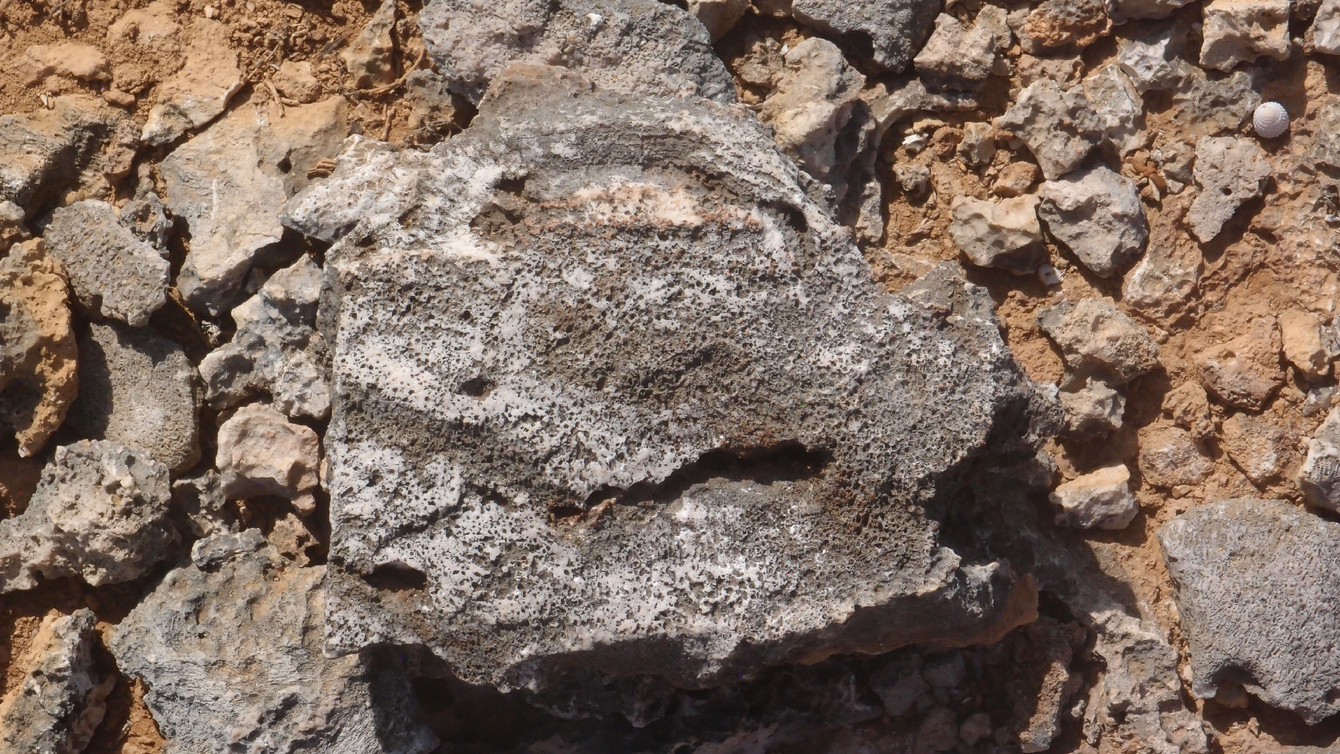 2022-04-14 Shete Boka Nationalpark (Foto)