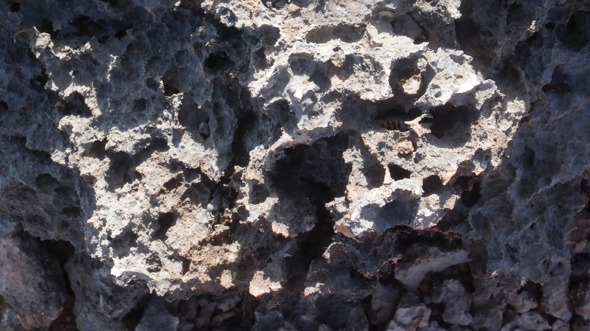 2022-04-14 Shete Boka Nationalpark (Foto)