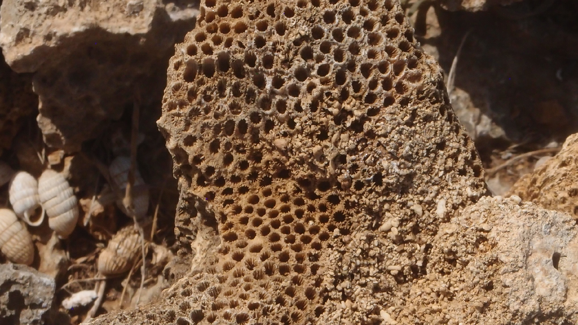 2022-04-14 Shete Boka Nationalpark (Foto)