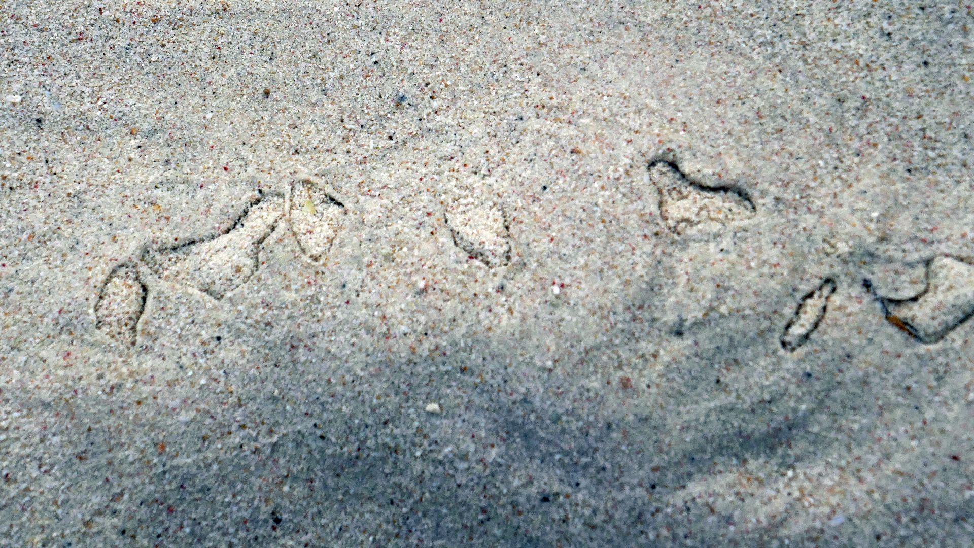 2022-04-19 Playa Porto Mari (Foto)