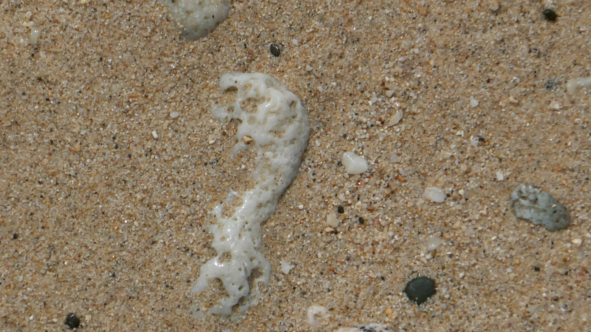 2022-04-20 Playa Forti & Playa Jeremi (Foto)