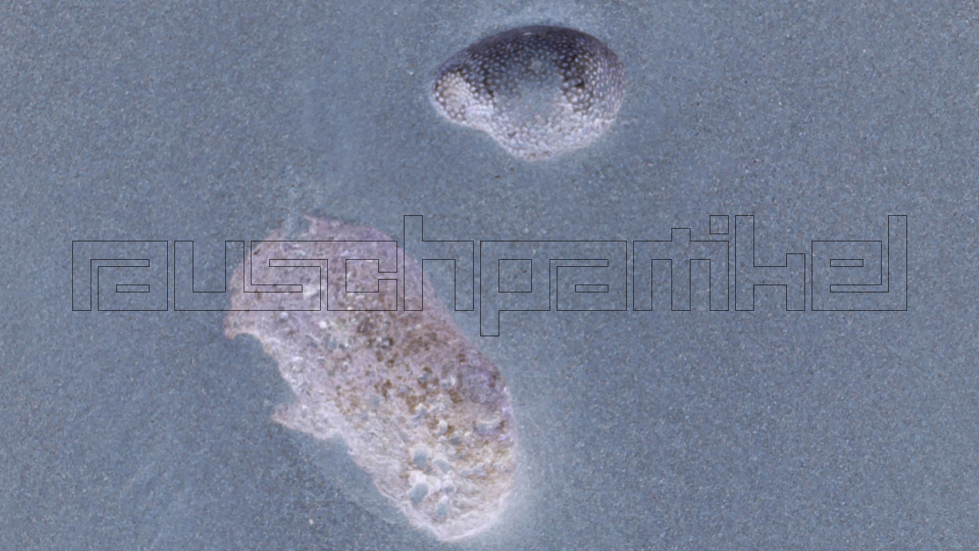 2022-04-20 Playa Forti & Playa Jeremi (Foto)