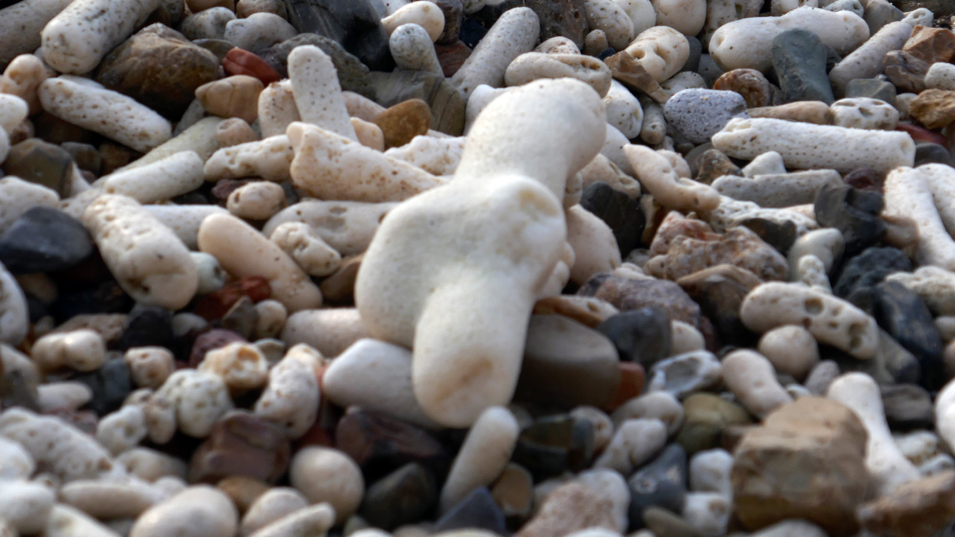 2022-04-20 Playa Forti & Playa Jeremi (Foto)