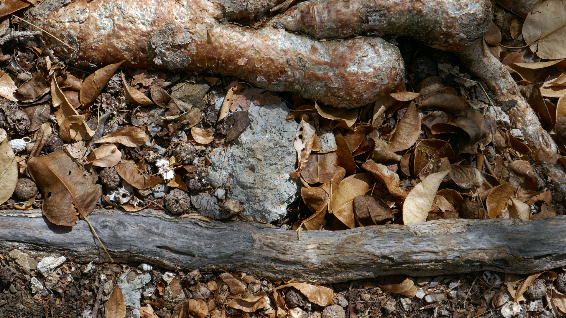 2022-04-22 Blaue Kammer (Foto)