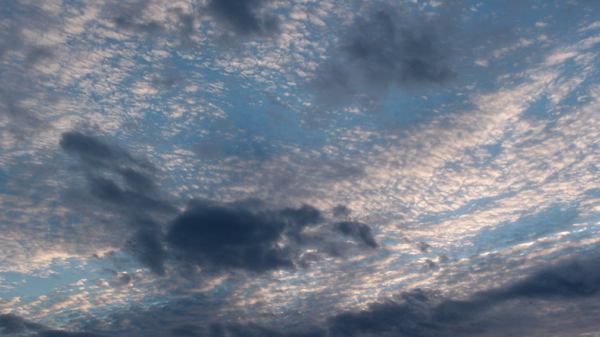 2022-07-16 01 Uhr 30 dkrro (Dachflchenfenster) (Fieldrecording Audio)