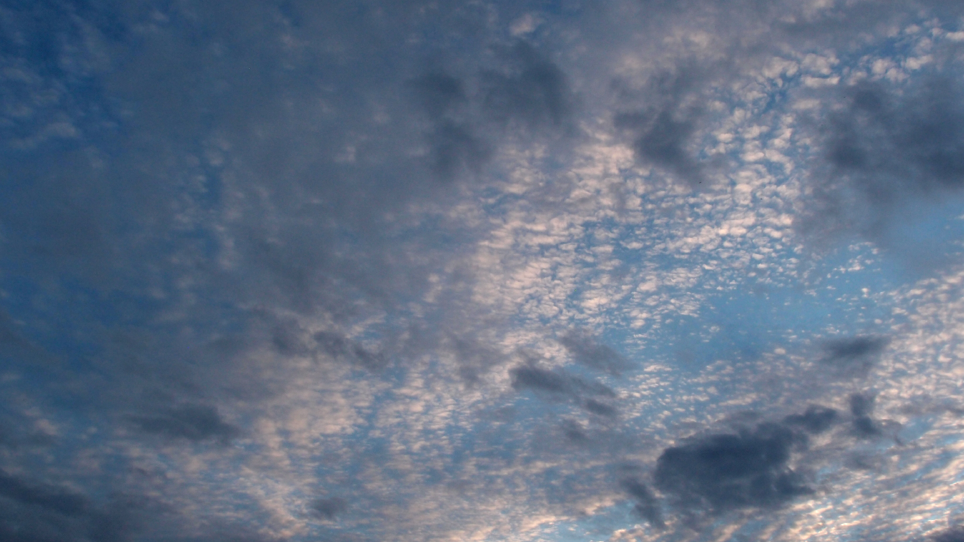 2022-07-16 01 Uhr 30 dkrro (Dachflchenfenster) (Fieldrecording Audio)