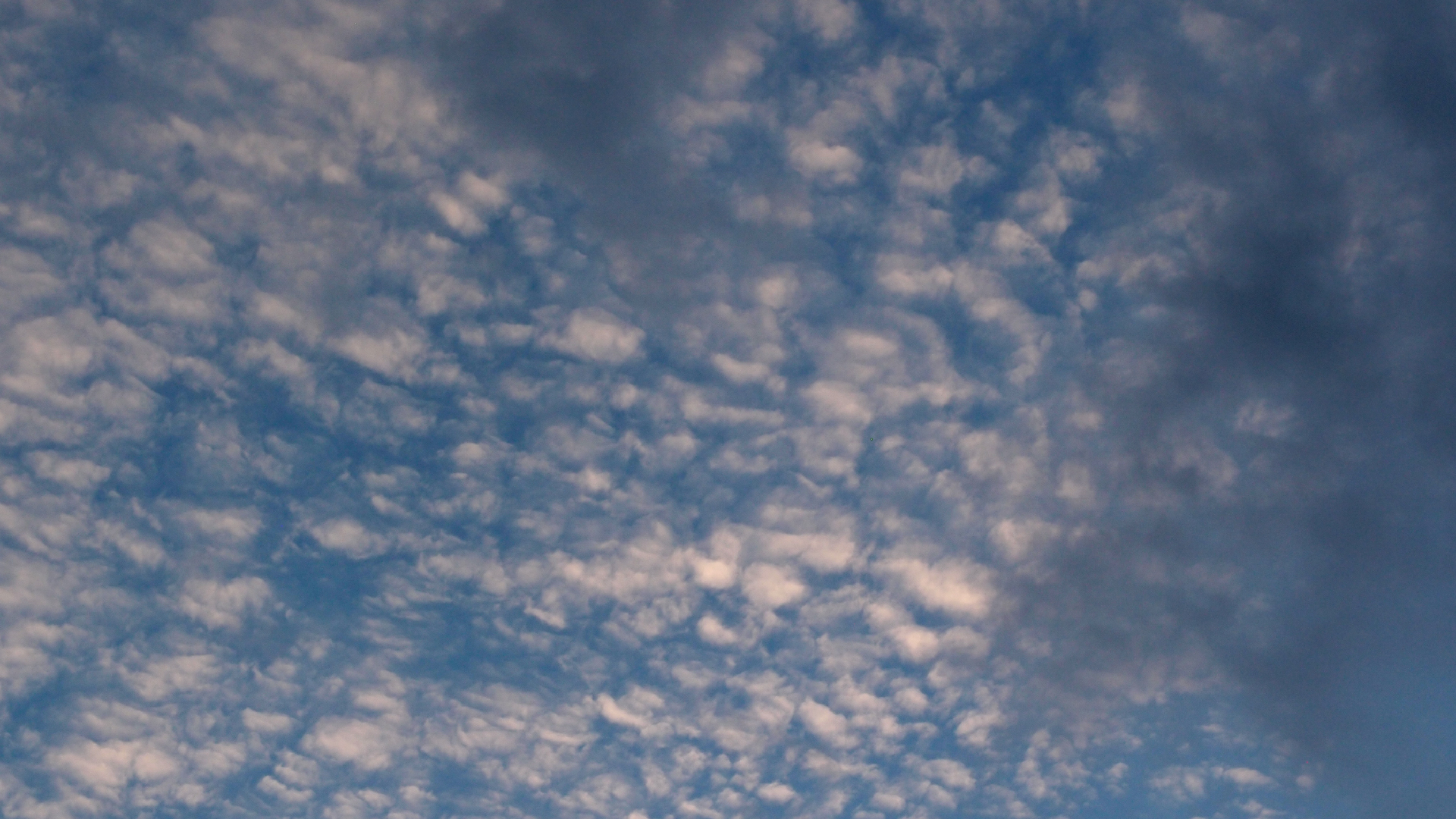 2022-07-16 01 Uhr 30 dkrro (Dachflchenfenster) (Fieldrecording Audio)