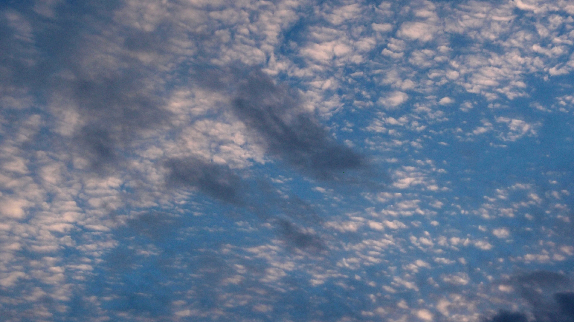 2022-07-16 01 Uhr 30 dkrro (Dachflchenfenster) (Fieldrecording Audio)