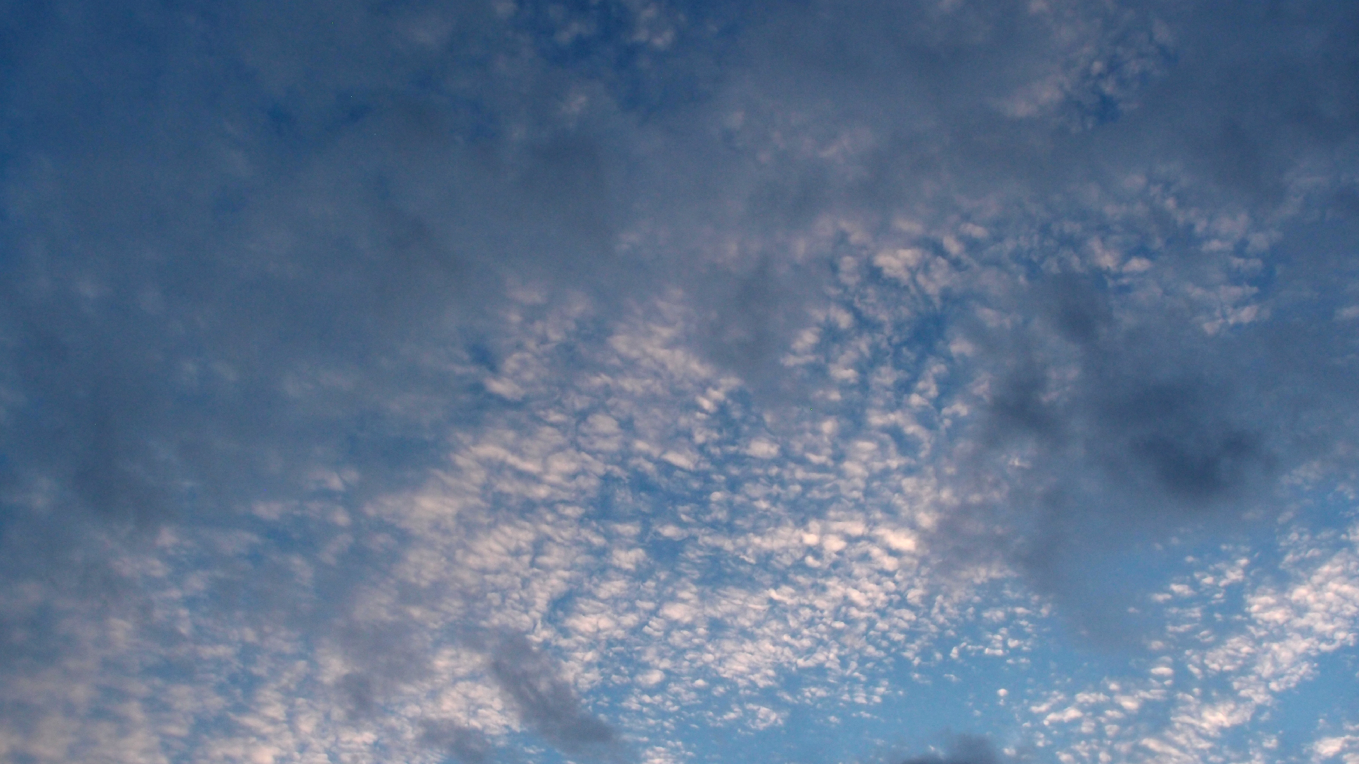 2022-07-16 01 Uhr 30 dkrro (Dachflchenfenster) (Fieldrecording Audio)