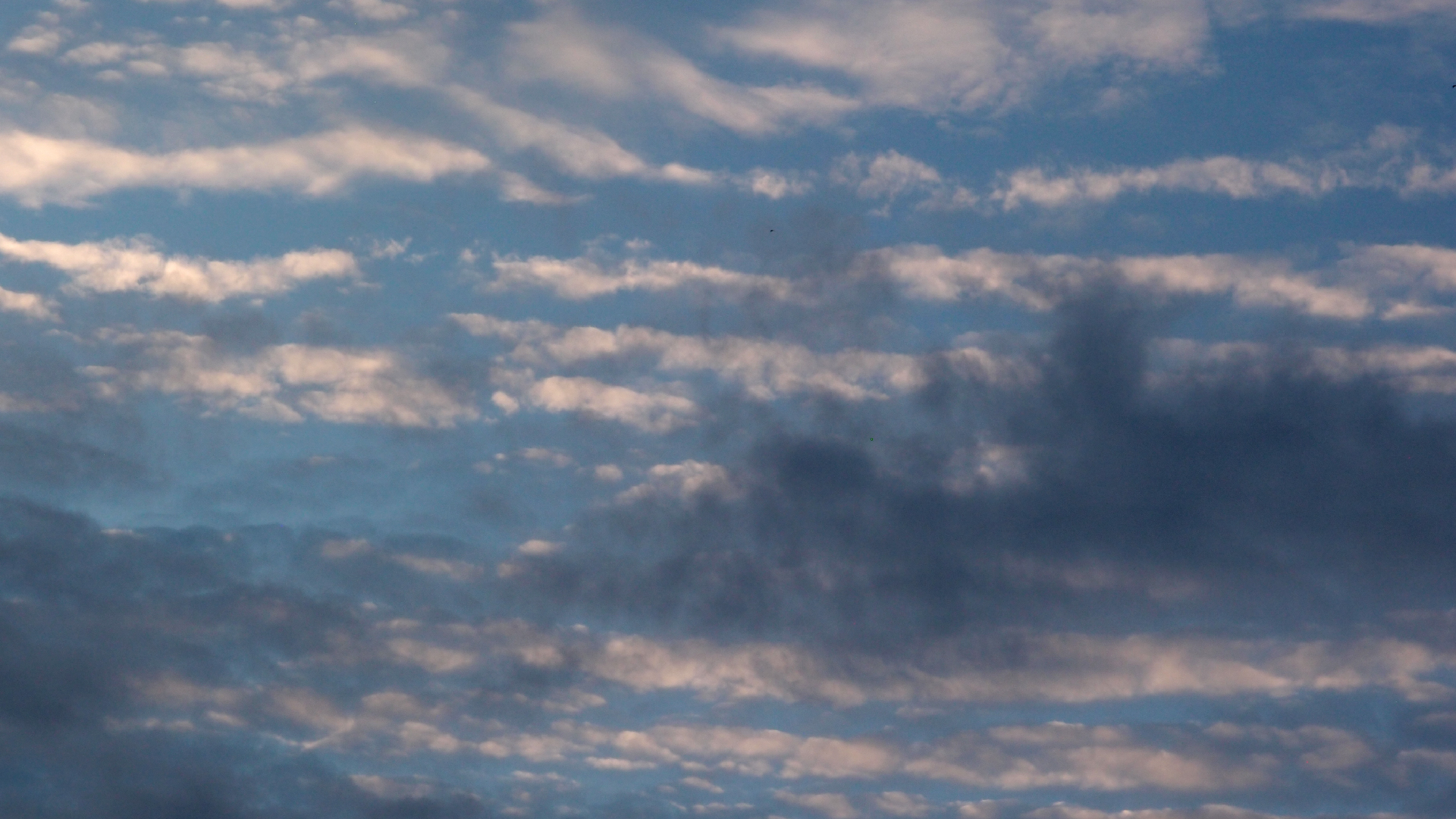 2022-07-16 01 Uhr 30 dkrro (Dachflchenfenster) (Fieldrecording Audio)