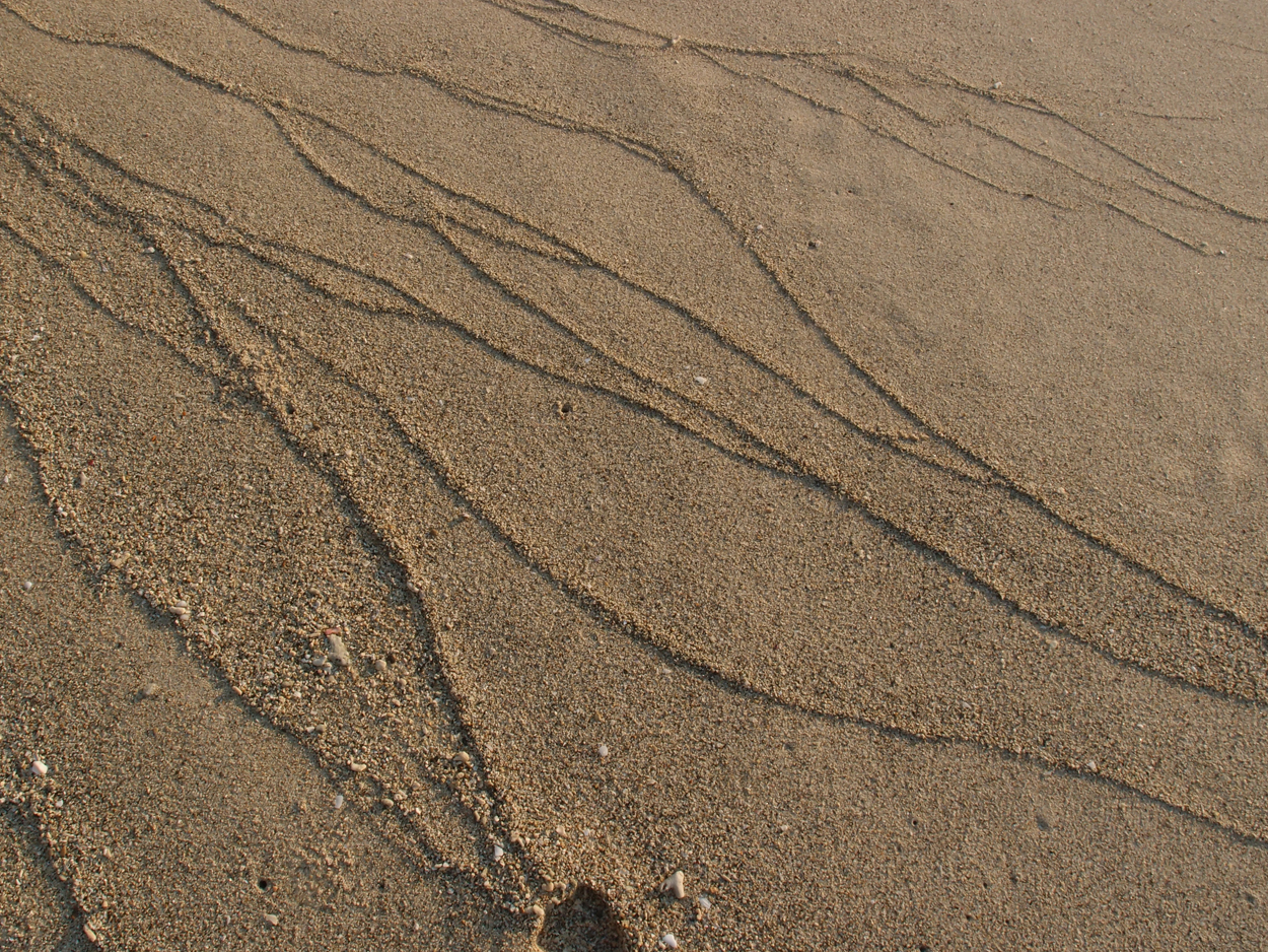 sand 1