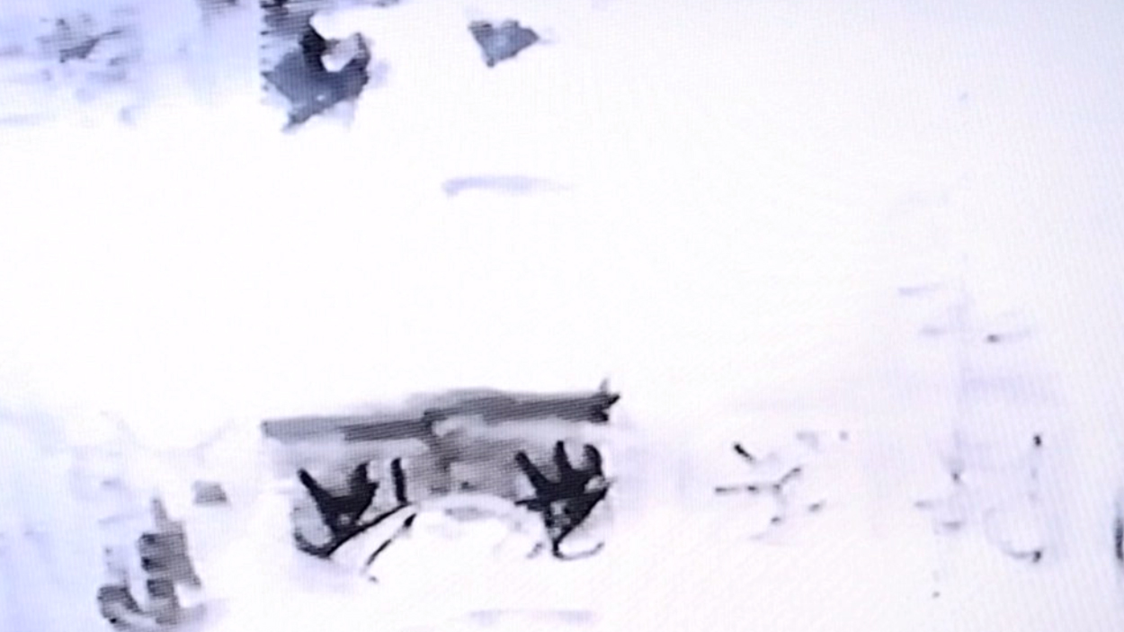 Thee Films (screenshots)