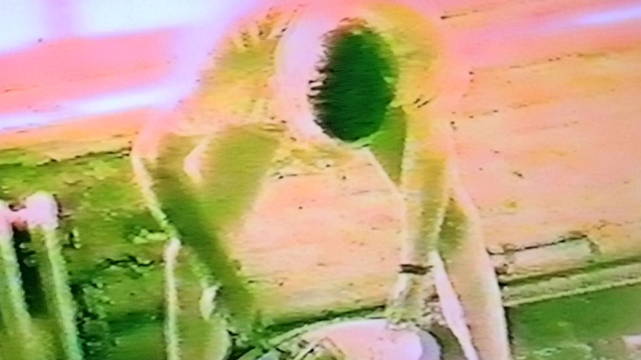 Thee Films (screenshots)